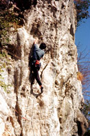 �E�B���[��o��M��