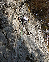 �؋��B�œ��ҏ험�t�H�g