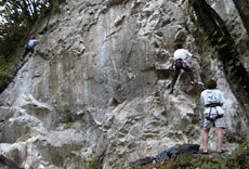 �f�b�P���E���G���A