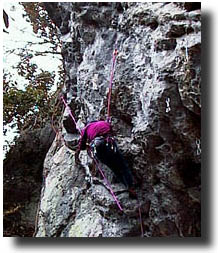 ���[�g�H�쒆�̂j�肳��