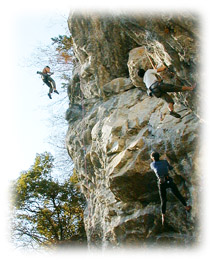 �u�G�r�[�^�v�ő�t�H�[������M����