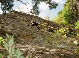 �V�s�b�`��