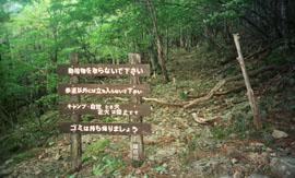 �A�v���[�`�ʐ^�P