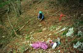 �A�v���[�`�ʐ^�Q