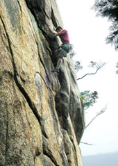 �_�u���N���b�N���ꌂ�����䂳��