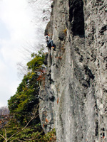 �J���e��o�郊���E�����