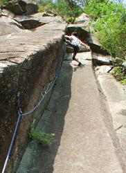 �u����Ȃ�V�e�B���C�t�v�����[�h����M��