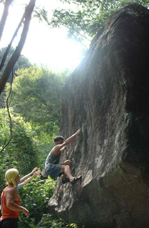 �u�n�m�@�t�F�[�X�v��o��M��