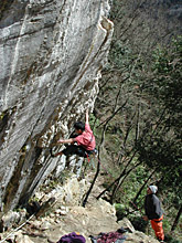 �u�U�f�̃J�M���v��o�鍡�h����