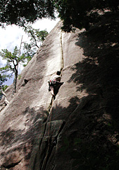 �u�J�T�u���J�v��o��M�ҁi�B�e�^�}�X���b�`�j