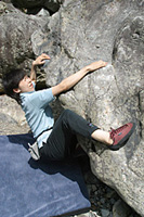 �u�S�b�e�B�v�̃q���R