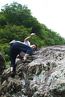 �u�J���n�Q�v�����Ƃ����m����