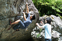 �u�I�E���Ԃ��v��o��M��