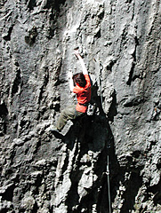 �u�����o�i�i�v��o��삿���