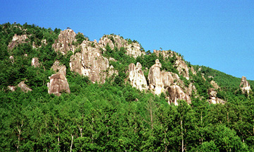 ����R�@���ڕ����Q