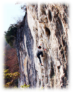 �����@�j���[�G���A