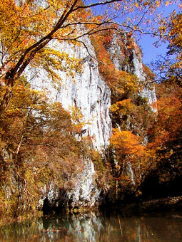 ��ߋ��@��������