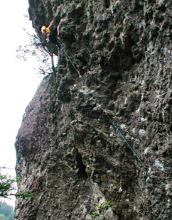 �P���@�S��