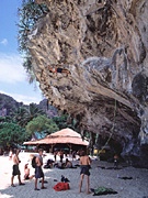 TON�@SAI�@�́@�b�������@�`�������������@�V�a