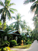 �q�����������@�u�������������@�q����������