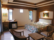 �q�����������@�u�������������̕���