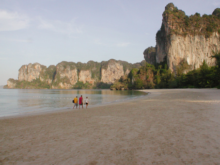 �r�[�`������j����