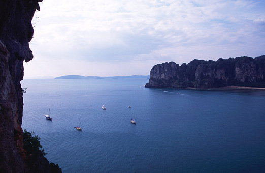 ���C���C�ɕ����ԃ��b�g