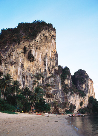 TON SAI BAY�@�S�i