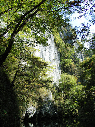 ��ߋ��E��ꓹ��