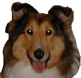 ���̖��O�����