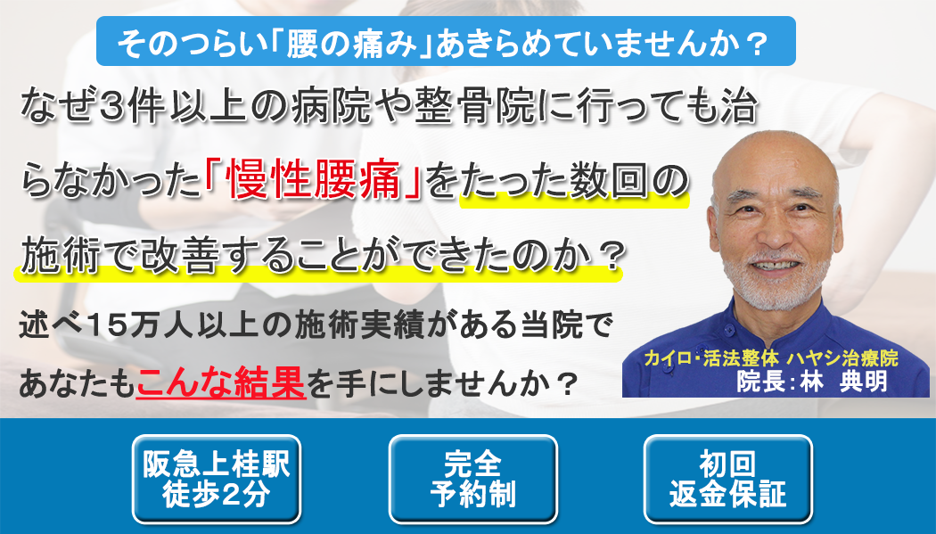 �J�C���v���N�e�B�b�N�E���@���́@���s�n���V���É@