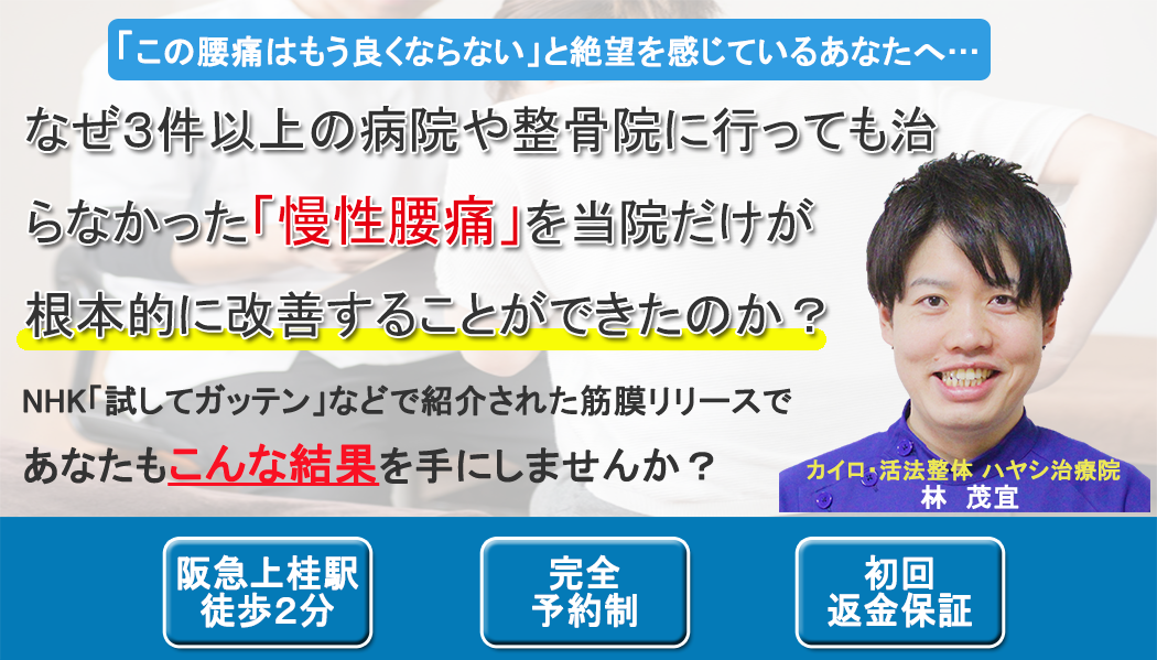カイロプラクティック・活法整体 京都ハヤシ治療院