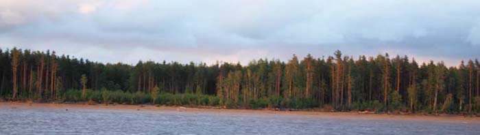 �S���c�B�[��