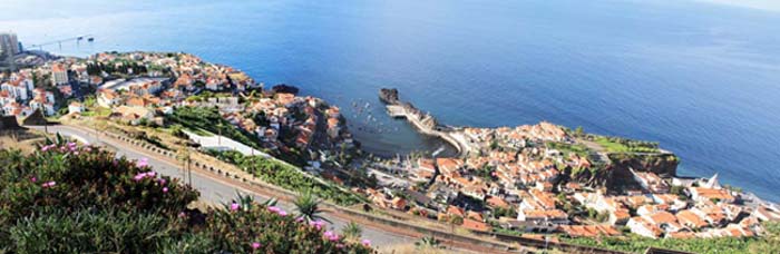 �}�f�C����