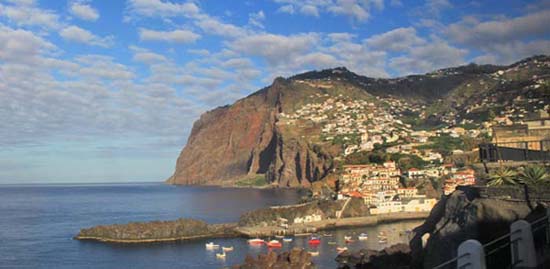 �}�f�C����