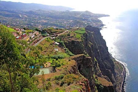 �}�f�C����