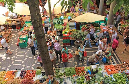 �������h�[���X�s��