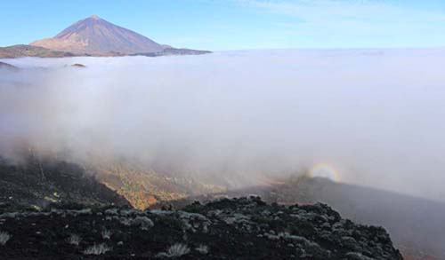 �e�C�f��������