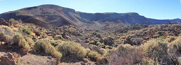 �e�C�f��������