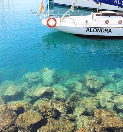 �O�����E�J�i���A