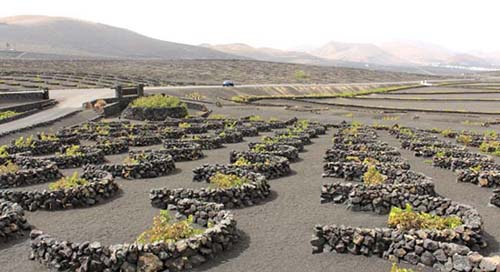 �����T���[�e