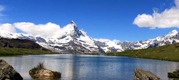 �V���e���[�[