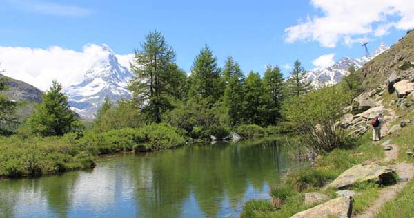 �O�����[�[