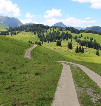 �A�b�y���c�F��