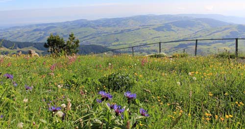 �A�b�y���c�F��