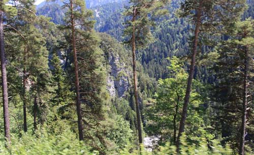 �A�b�y���c�F��