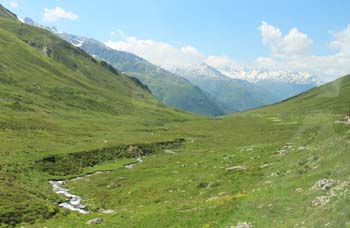 �x�����B�G��