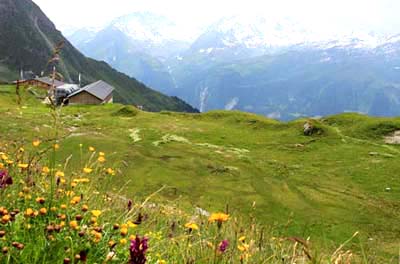 �x�����B�G��