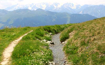 �x�����B�G��