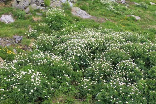 �x�����B�G